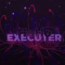 HoHo Executor | 2024