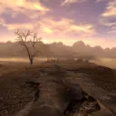 Wild Wasteland