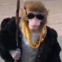 Creeper's Gyatiporium Discord server icon