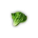 Vegetable Farm