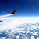 𝐓𝐑𝐔𝐓𝐇 𝐈𝐒 𝐓𝐑𝐄𝐀𝐒𝐎𝐍 discord icon