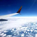 𝐓𝐑𝐔𝐓𝐇 𝐈𝐒 𝐓𝐑𝐄𝐀𝐒𝐎𝐍 discord icon