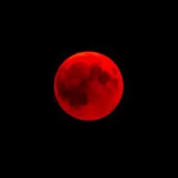 Red Family — мониторинг Discord сервера, статистика и рейтинг