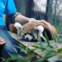 Panda3DS icon