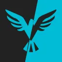 Nocktyz Esport