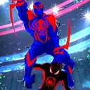 The Web