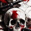 Skull's fanbase playing field Discord Server Icon
