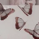 𝒜𝓂𝑜𝓇 18+ Discord Server Icon