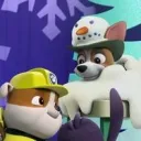 Team Paw Patrol