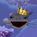 Shark Attack's server