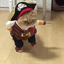 La piraterie 🔞