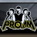 PRO-AM 3v3 5v5