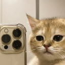 Discovery icon for kitcord🐱 Discord server