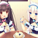 nekopara ♡