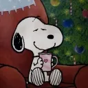 𐔌 . 𝑯𝒊𝒎𝒊𝒕𝒔𝒖﹗﹑🎄