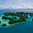 Palau Digital Residents