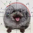 𝐀𝐒𝐀𝐊𝐔𝐑𝐀 — 𝐋𝐀𝐒𝐓 𝐂𝐀𝐋𝐋™