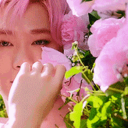𝓚𝐚𝐧𝐝𝐲