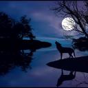 The Wolves of Mystica