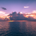 C!egg Solutions Server