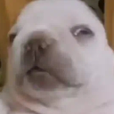 Discovery icon for ぼ | Rebirth G5 Discord server