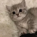 Заброшка