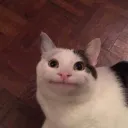 Miguel Shack discord icon