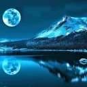 dragon Discord server icon