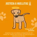 Ayuda de Mascotas🐶
