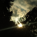 𝓬𝓱𝓮𝓻𝓻𝓲 ❤ Discord server icon