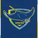 Rays Gaming