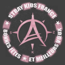 Discovery icon for STRAY KIDS FRANCE🎄 Discord server