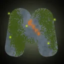 Mystic Wilds
