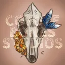 Coyote Bones Studios