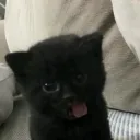 Dont know the name yet