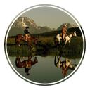 the ranch (wip) Discord Server Icon