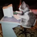 Our Corner (21+) Discord Server Icon