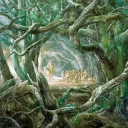 🌿mirkwood🌿