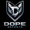DOPE ORGANIZATION