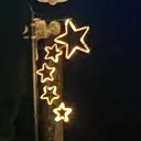 CIDD Discord Server Icon