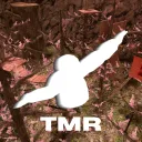 𝙏𝙈𝙍