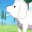 Doggo's Market's icon