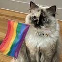 Prideful Mists      Discord Server Icon