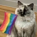 Prideful Mists  Discord Server Icon