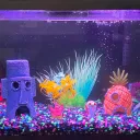 syd's awesome aquarium