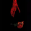 The Scatola Rossa Family