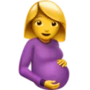 Umbilical Cord.