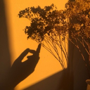 ‿︵❉Afterlife❉︵‿ Discord server icon