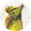短歌投稿　帆han