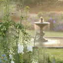 🌷🦢🌿The Royal Garden🌿🦢🌷